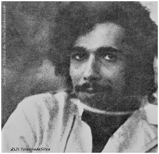 José Luis Soares Franco Teixeira da Silva